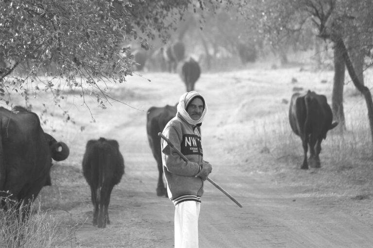 The Impact of Public Opinion Shifts on Election Results