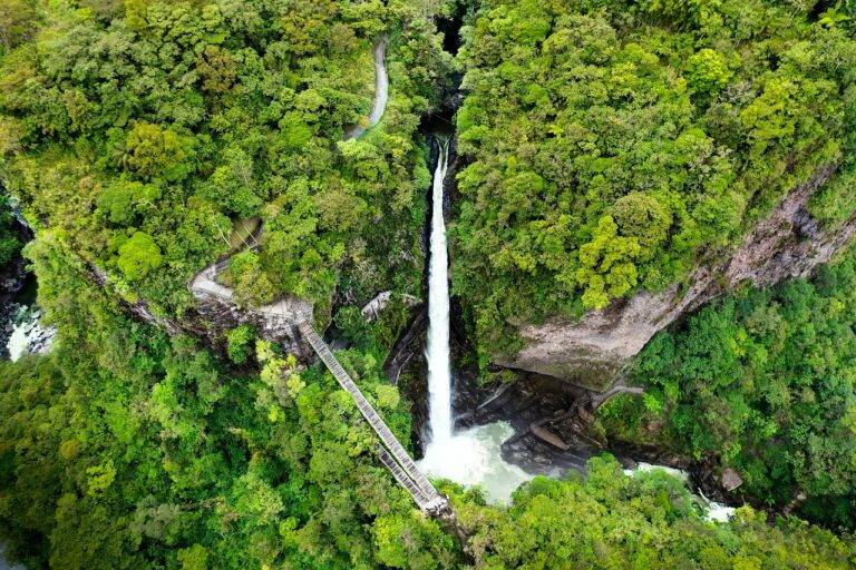 Exploring Alternative Medicine: Holistic Approaches to Health and Wellness