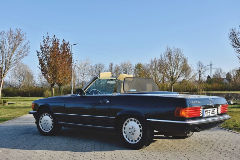 Why Some Countries Are Focusing on Biofuels