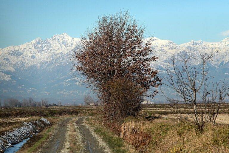 Travel and Language Barriers: Tips for Communication