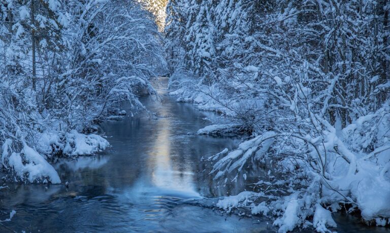 Work and Travel Programs for Students