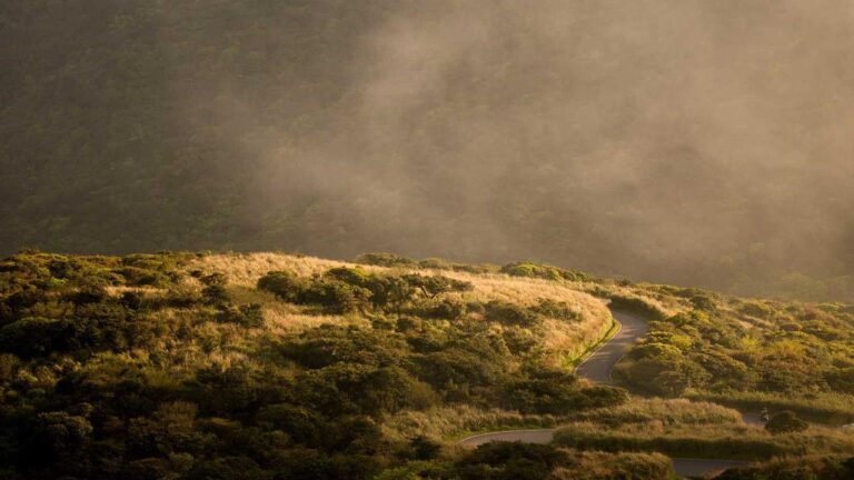 How To Withdraw Money From Reddy Book To Your Bank?